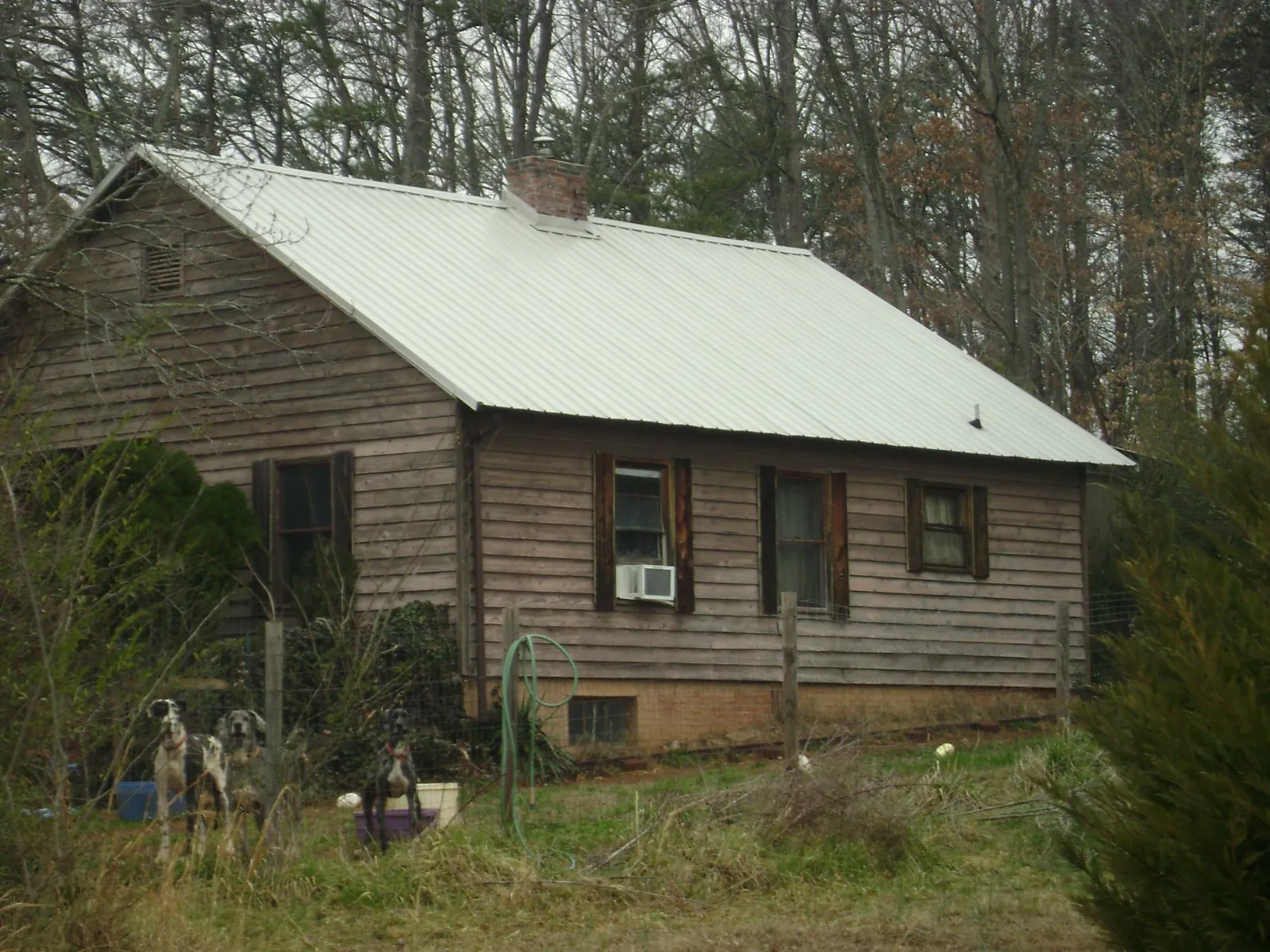 White metal roof on an old wood sided farmhouse, from a Asphalt Shingle Roof Repair job in Cadiz